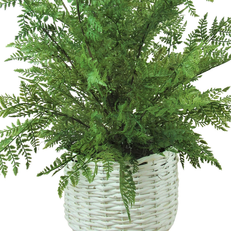 Highland Dunes 46'' Artificial Fern Plant in Basket Wayfair